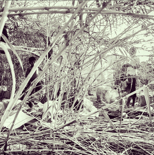 Estas son las "paredes" que los guarnecen. Ayuden a difundir este reportaje gráfico, para que estas víctimas tengan una oportunidad de vivir sin miedo y con dignidad