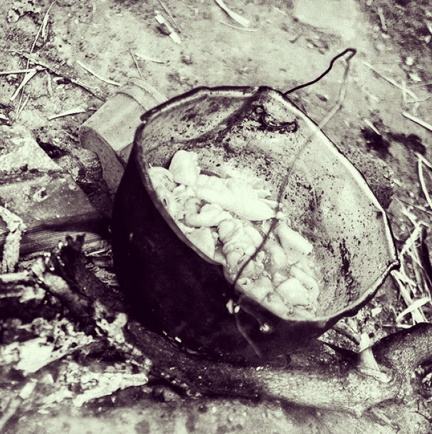  Cazan cualquier animal foráneo para comer: una rata, un perro, un gato, un chivo extraviado. Cuando tienen suerte y les cae alguna plata de la caridad, compran papas y pellejo de pollo